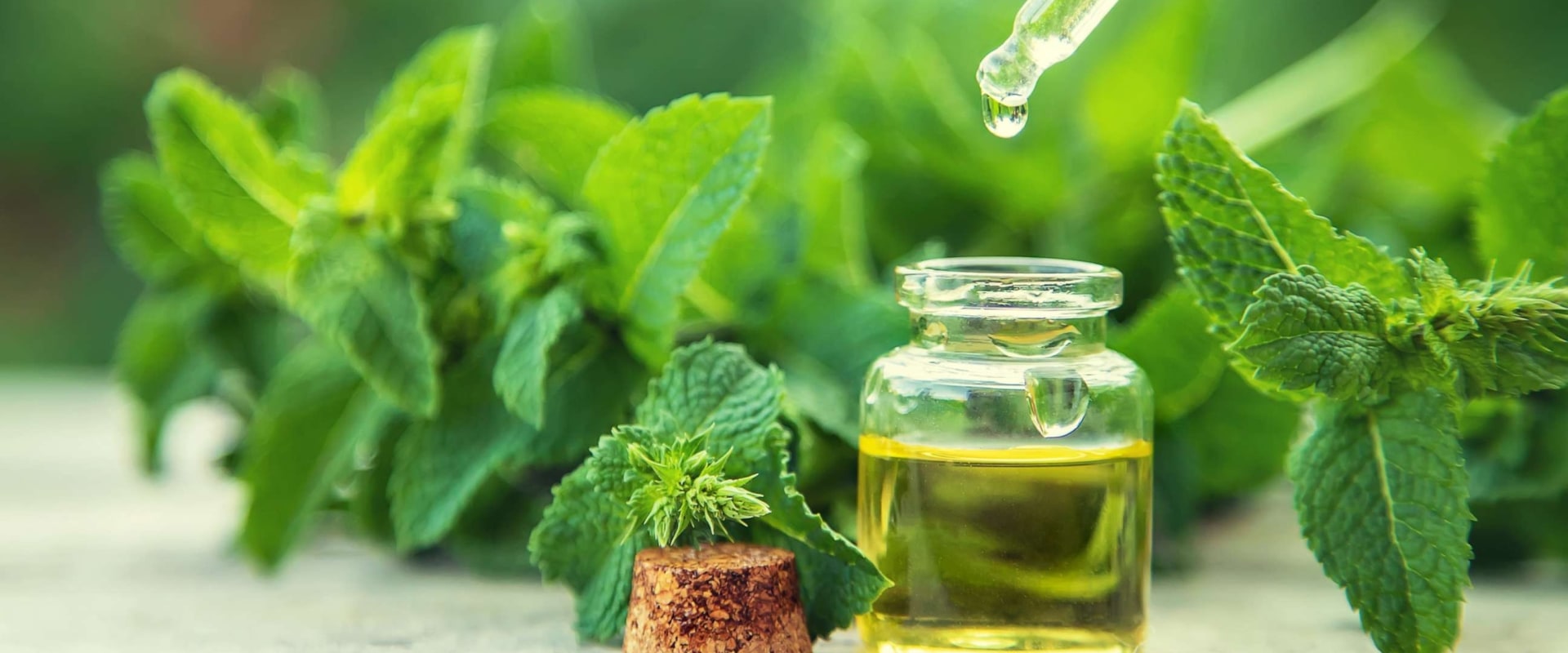 Essential Oils for Hair Loss: Natural Remedies and Solutions